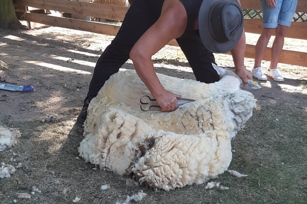Barokní den 18. 8. 2018